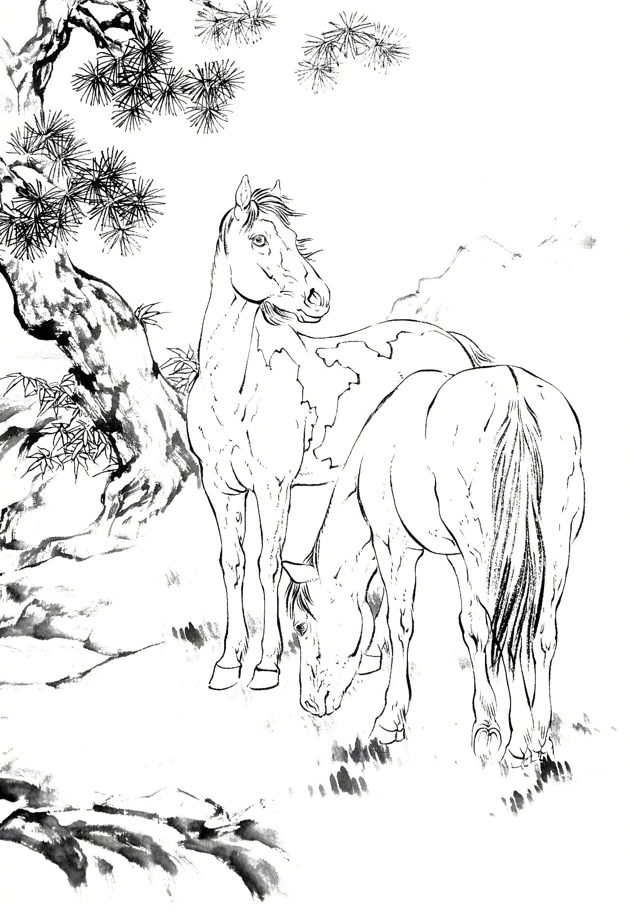 工笔白描骏马图