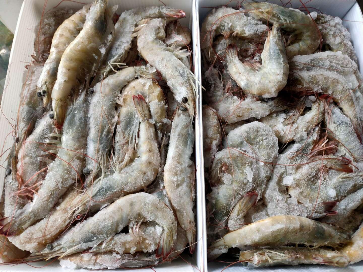 昨天1条关于大虾的微头条,24小时内阅读量5万,引起很多人讨论,首先