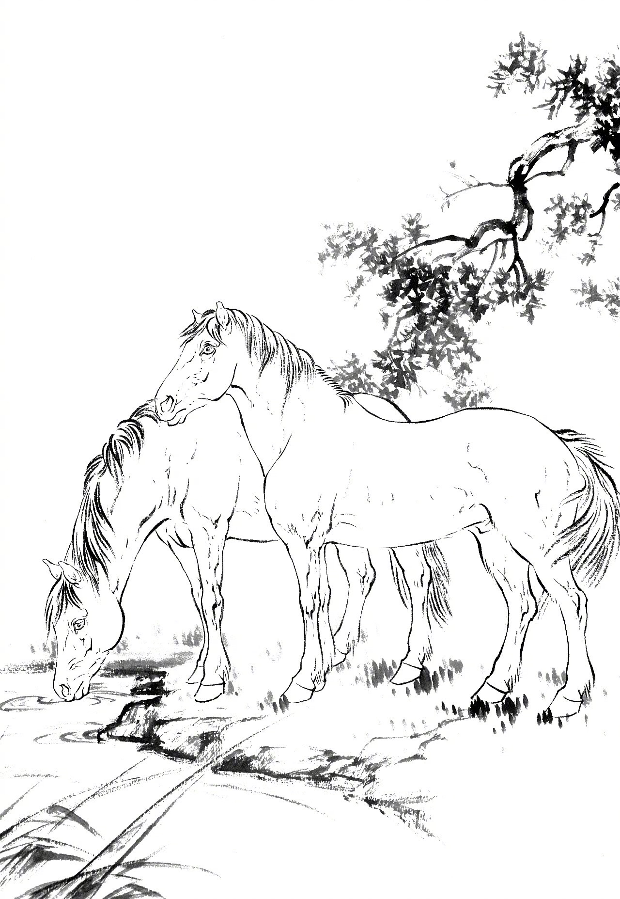 工笔白描骏马图