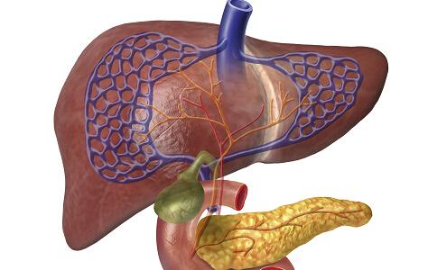 黄疸肝炎该如何治疗_健康症状网