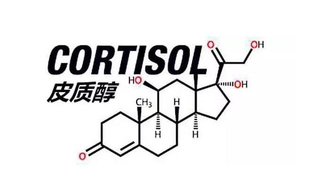 皮质醇为什么被称为人体压力荷尔蒙