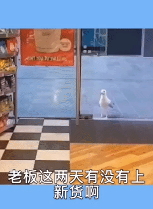 |FnkBͷUڡAMڦNӥX|F-26ӷdgif