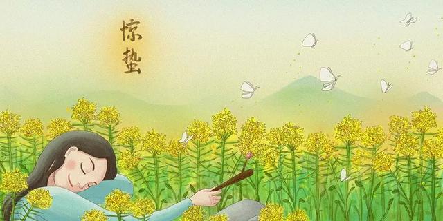 优秀包装设计欣赏！实用的“包”(图1)