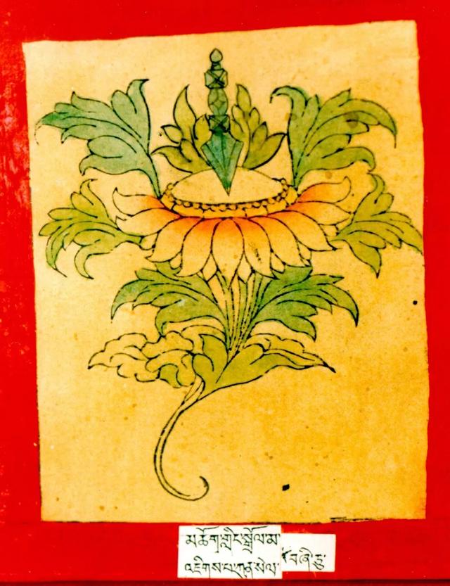 二十一尊度母的心咒、功德、手帜！ 图104