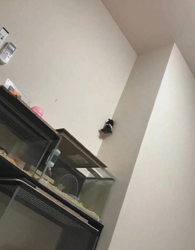 �B�ͫD�n�ԧڥh�ݨ��i���O���f�l�A�ں�O�����ѤF