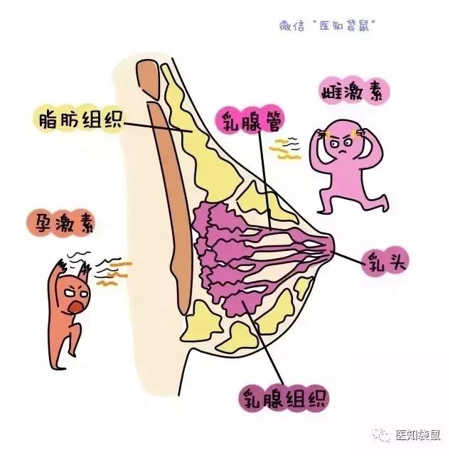 宝妈哭诉断奶后乳房干瘪下垂老公对我没兴趣