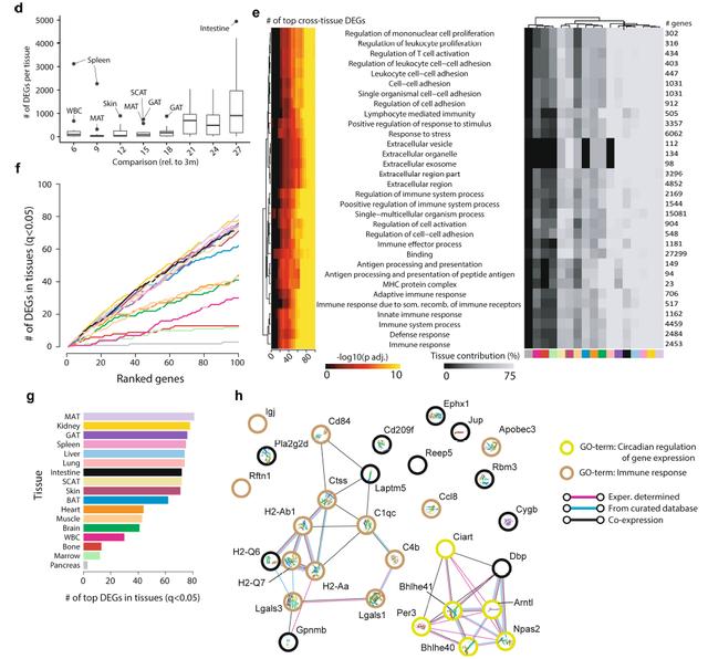 欧易生物,基因芯片,生物芯片,基因测序,高通量测序,二代测序,三代测序,酵母文库,生物信息学,转录组,基因组,蛋白质组,甲基化,代谢组学,蛋白检测单细胞测序,核体系酵母文库构建,基因组de novo测序,蛋白质组定量分析,靶向代谢组学, 2b-RAD简化基因组 ,微生物多样性测序