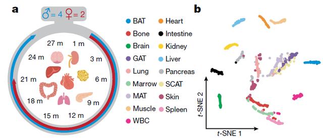 欧易生物,基因芯片,生物芯片,基因测序,高通量测序,二代测序,三代测序,酵母文库,生物信息学,转录组,基因组,蛋白质组,甲基化,代谢组学,蛋白检测单细胞测序,核体系酵母文库构建,基因组de novo测序,蛋白质组定量分析,靶向代谢组学, 2b-RAD简化基因组 ,微生物多样性测序