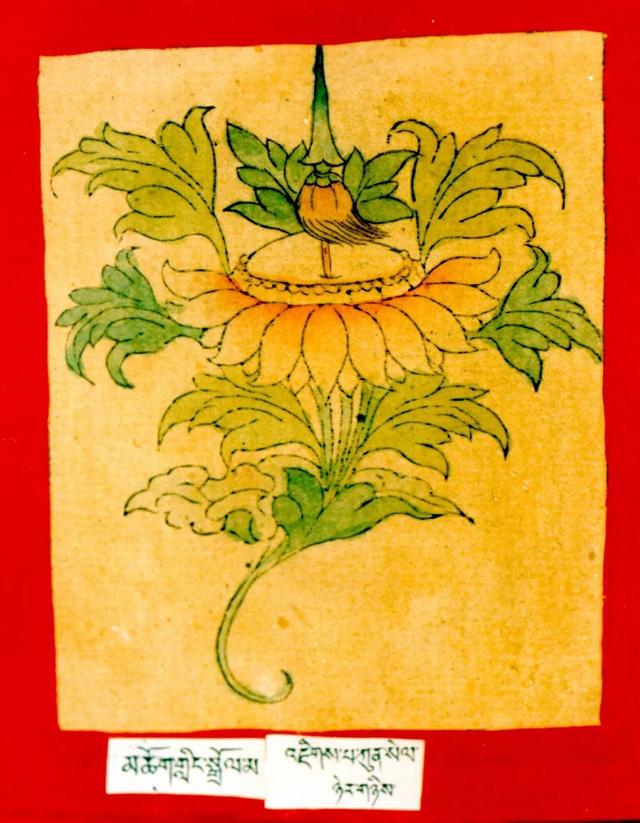 二十一尊度母的心咒、功德、手帜！ 图77