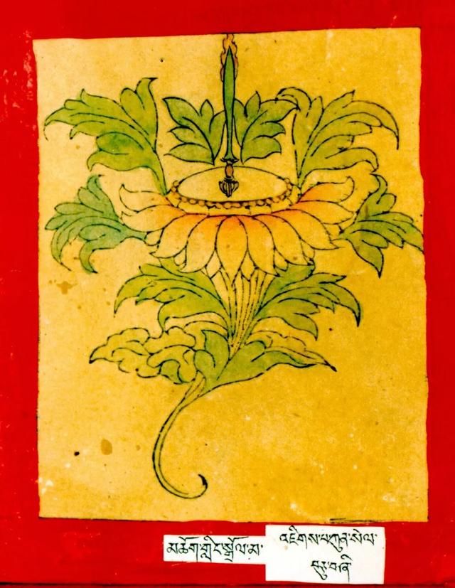 二十一尊度母的心咒、功德、手帜！ 图65