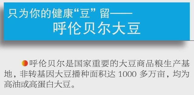 呼伦贝尔市大手笔打造“叫得响”的农牧林产品区域公用品牌(图3)