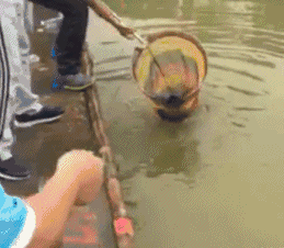 s̹CJADnڦˡAڸӫH]dϤ^