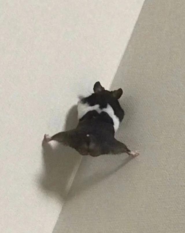 �B�ͫD�n�ԧڥh�ݨ��i���O���f�l�A�ں�O�����ѤF