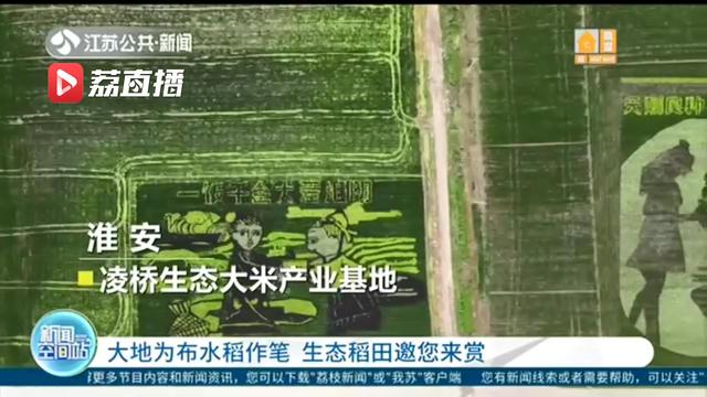 水稻■大地为布水稻作笔！江苏这些地方的生态稻田邀您来赏