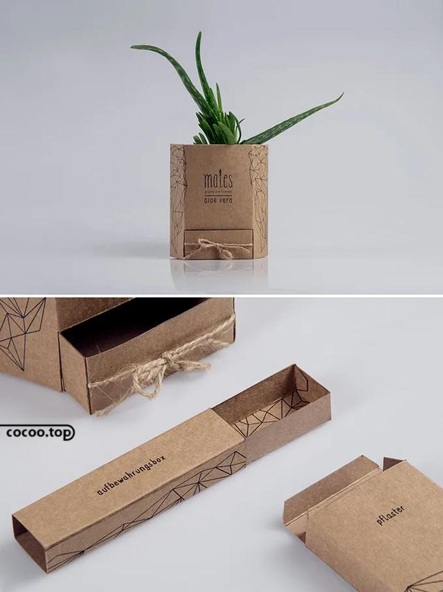 包装设计中的植物元素！自然之力(图13)