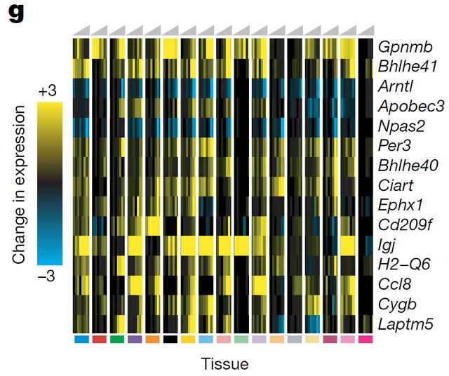 欧易生物,基因芯片,生物芯片,基因测序,高通量测序,二代测序,三代测序,酵母文库,生物信息学,转录组,基因组,蛋白质组,甲基化,代谢组学,蛋白检测单细胞测序,核体系酵母文库构建,基因组de novo测序,蛋白质组定量分析,靶向代谢组学, 2b-RAD简化基因组 ,微生物多样性测序
