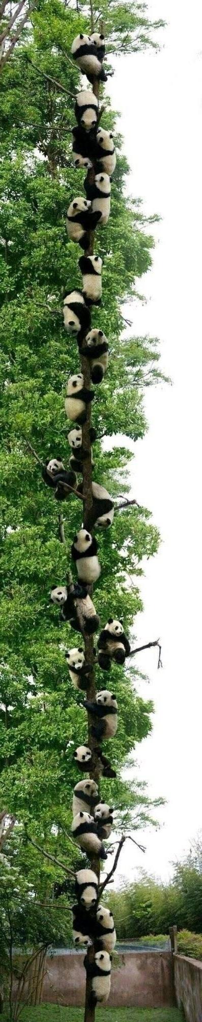 �z���϶��A�p�٤l�A�A���K�۫H�L�F�Y�I