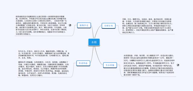 青岛市实验小学|青岛市实验小学开展居家种植水稻教育实践活动