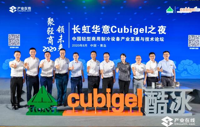 全球冰箱压缩机行业冠军，长虹华意做了什么？