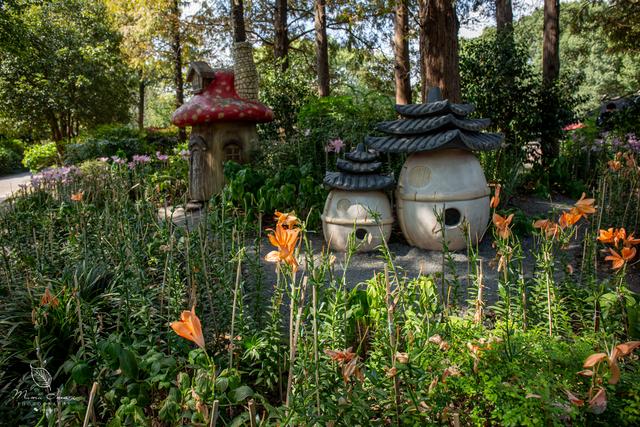 【无锡】百年梅园，无锡人对其有着深厚的情感，万株百合花丛中笑