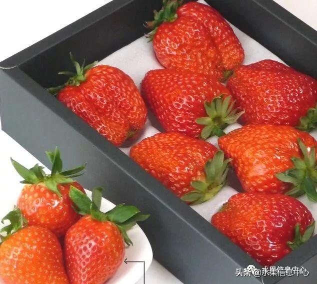 草莓包装大合集，这样的草莓吃不起(图15)