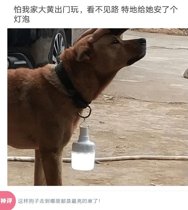 �u�E�|������A�A���@�@�e���@�өf�l�^�a�H�v�������ڲβΰe