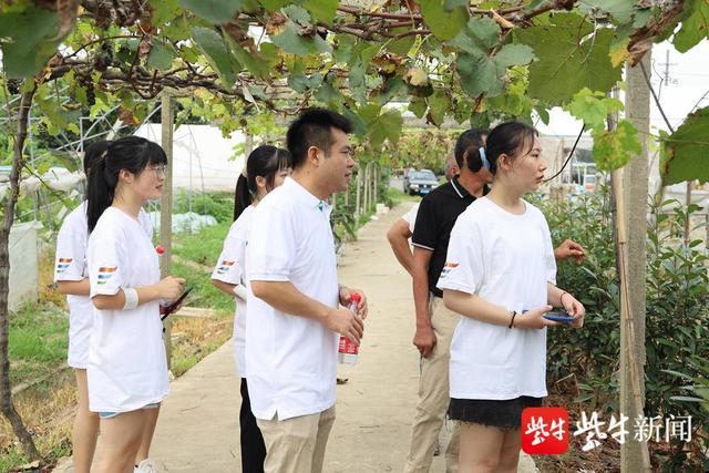 入田间访农户 设计特色包装   这群大学生助力镇江果农销售(图5)
