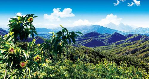 户外|2020年京津冀运动休闲体验季走进河北迁西