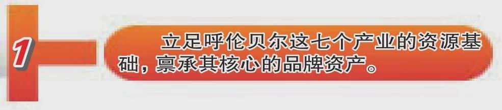 呼伦贝尔市大手笔打造“叫得响”的农牧林产品区域公用品牌(图9)