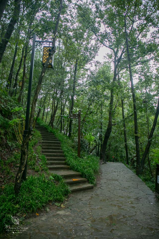 【临海】浙江一座仅百余米的山，有鉴真大师曾待过的寺庙，还有4座古塔