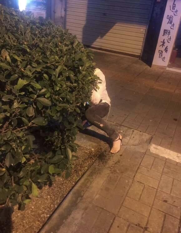 B̡ͭAڬۿ˦\FAHݭn`NIH]dϤ^