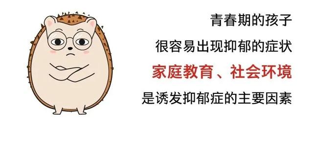成都市金兴北路小学家校共育：关注学生心理健康
