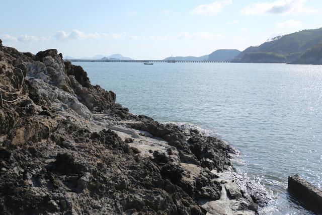 【鹿西岛】浙江一座偏僻小岛，盛产生态大黄鱼，远离城市喧嚣几乎夜不闭户