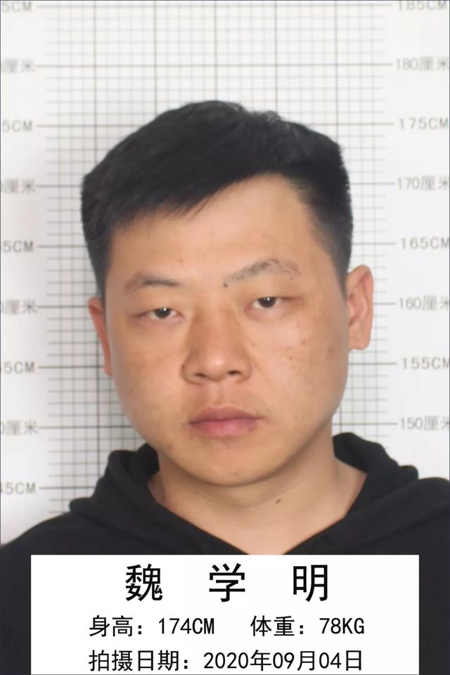 重庆|警方悬赏征集“小兽医”涉黑涉恶团伙违法犯罪线索