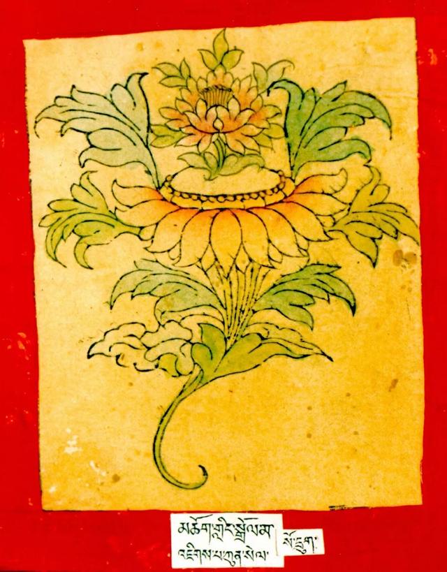 二十一尊度母的心咒、功德、手帜！ 图98