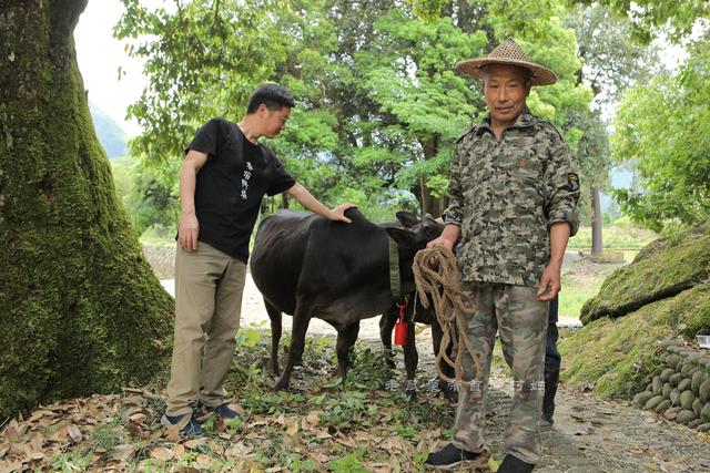 山村古稀老人放牛运垃圾住别墅还有工资拿，幸福生活太羡慕（7）