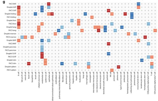 欧易生物,基因芯片,生物芯片,基因测序,高通量测序,二代测序,三代测序,酵母文库,生物信息学,转录组,基因组,蛋白质组,甲基化,代谢组学,蛋白检测单细胞测序,核体系酵母文库构建,基因组de novo测序,蛋白质组定量分析,靶向代谢组学, 2b-RAD简化基因组 ,微生物多样性测序