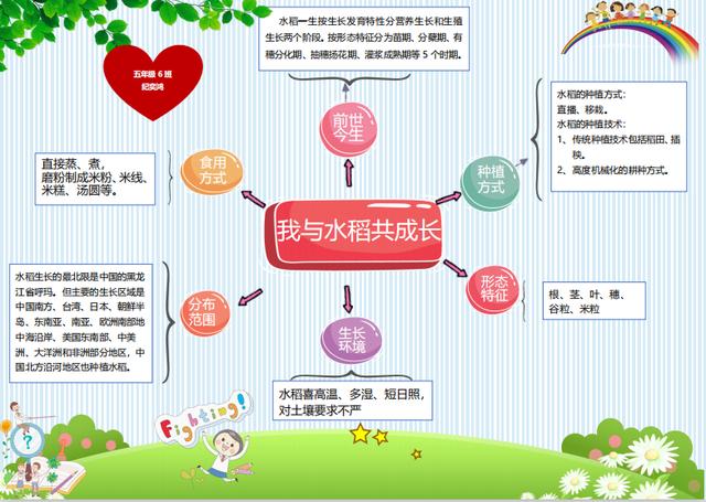 青岛市实验小学|青岛市实验小学开展居家种植水稻教育实践活动