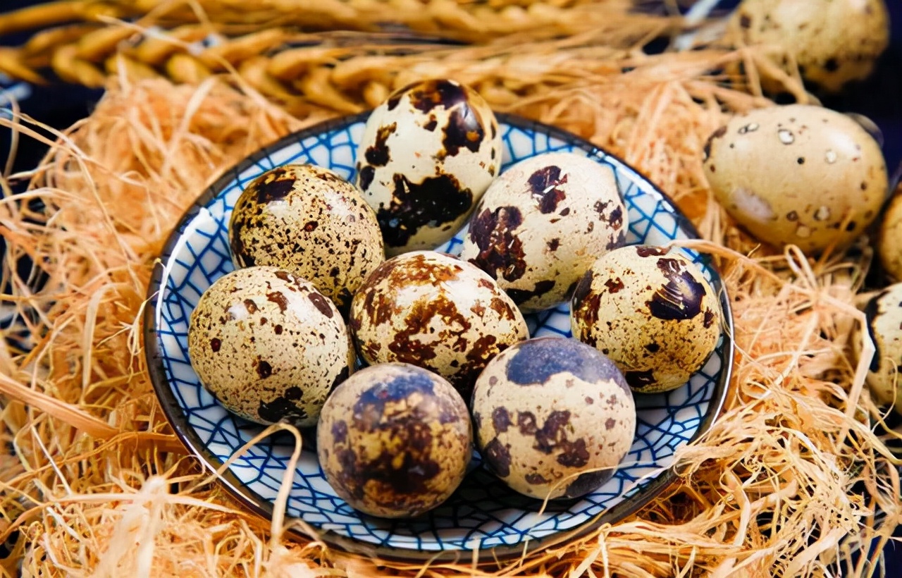 Eating Quail Eggs Frequently May Bring 4 Benefits To The Body You