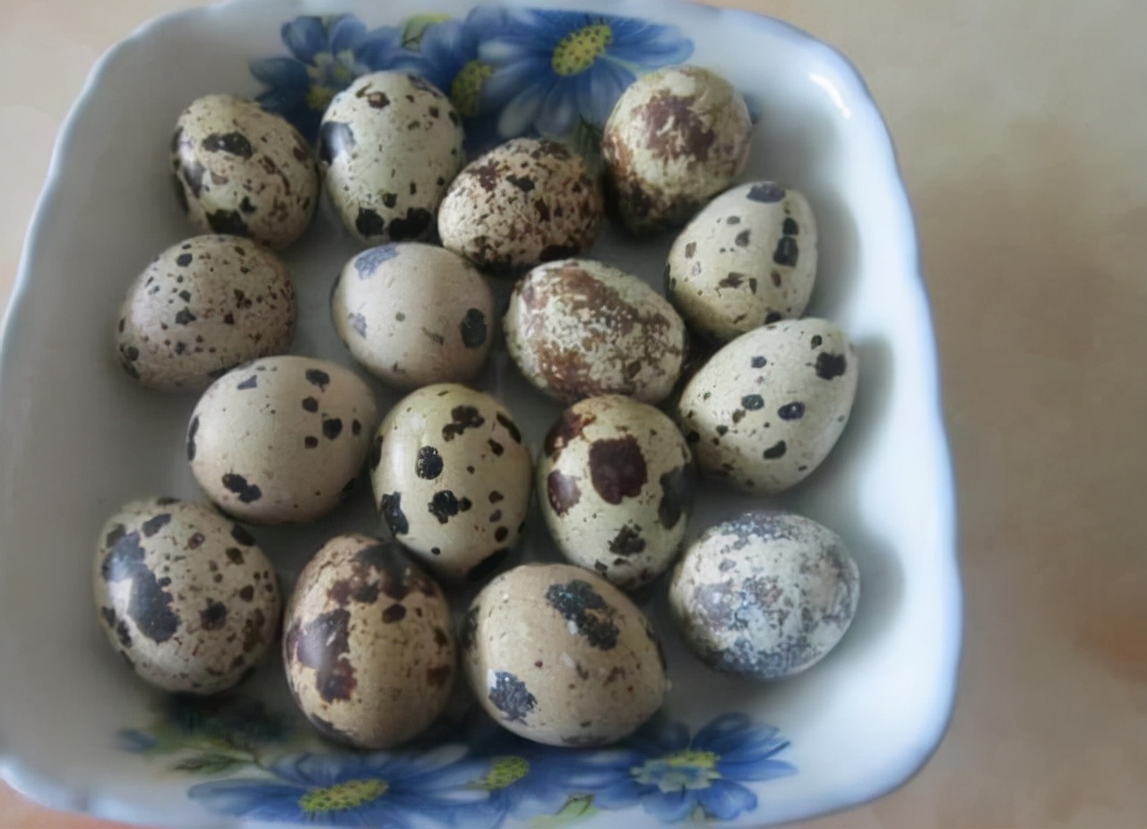 Eating Quail Eggs Frequently May Bring 4 Benefits To The Body You