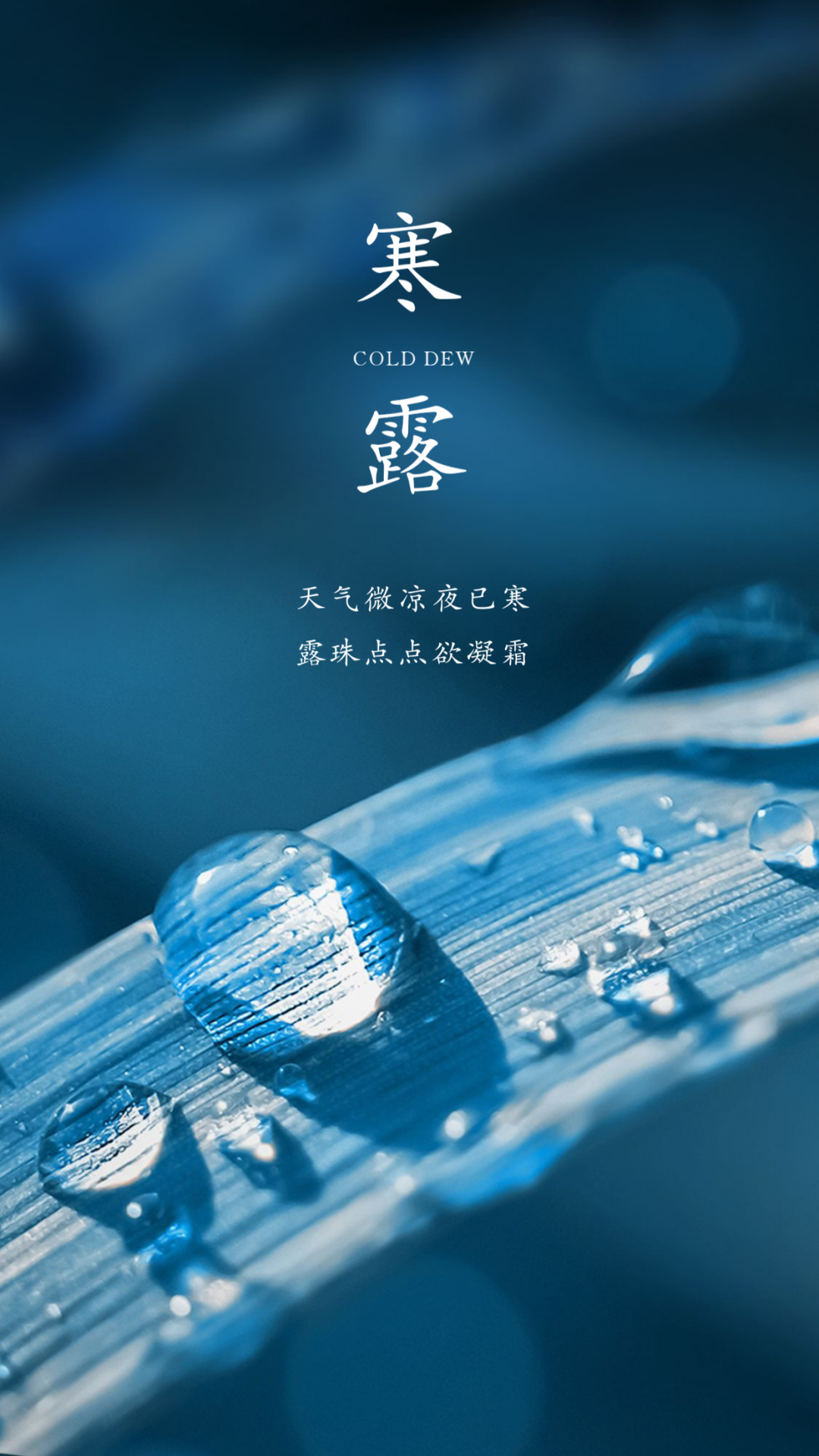 一阵秋雨一阵凉,寒露时节愿你健康:雨水渐少气干燥,补充水分不可少