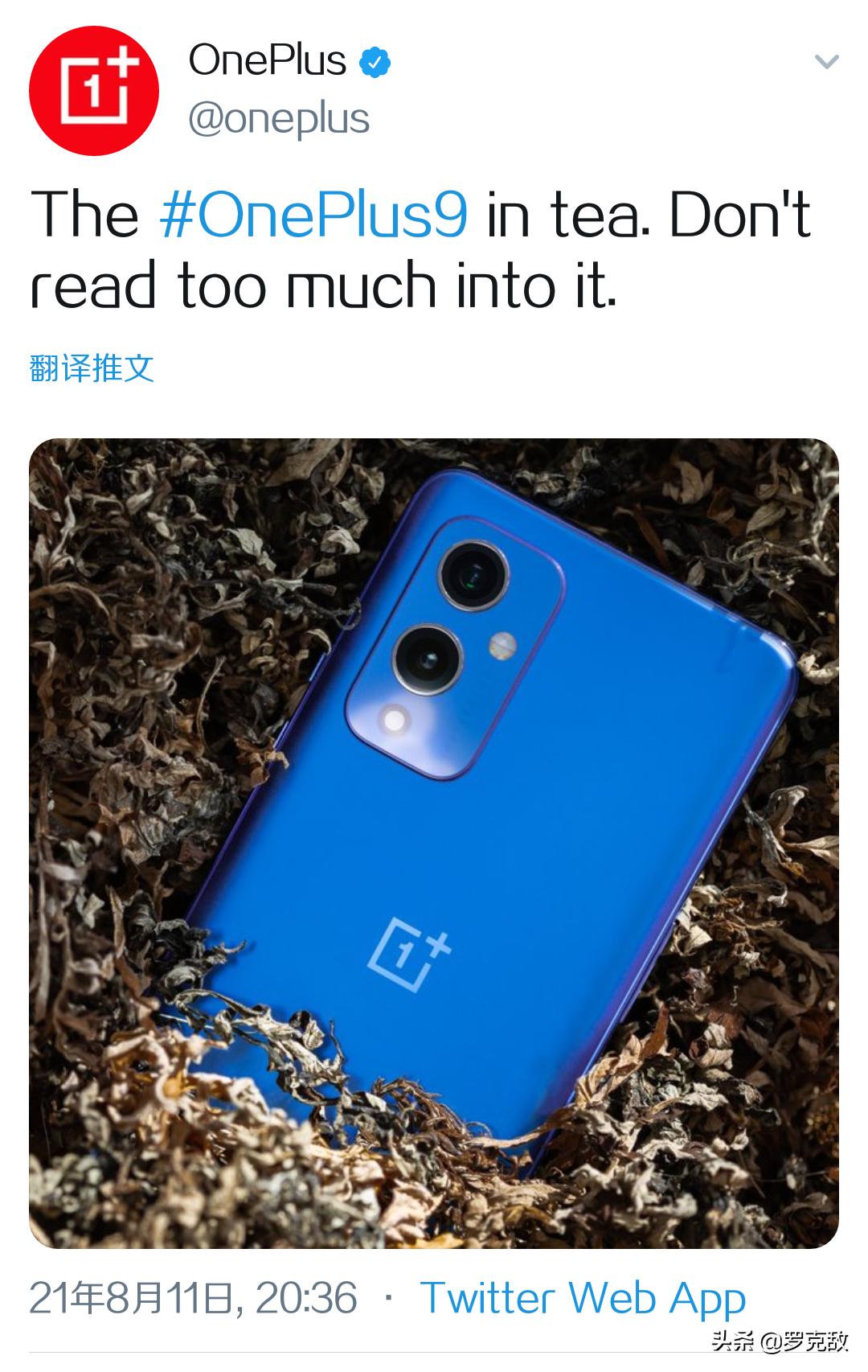 Oneplus Official Pushes New News Or Hints That Oneplus T Will Be