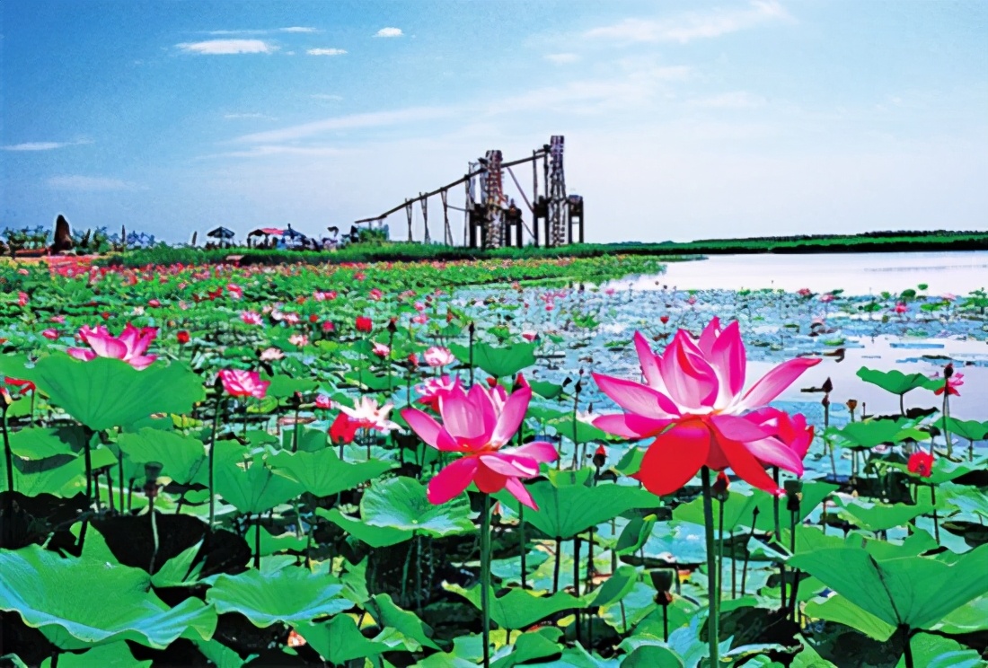 Saishang Jiangnan Ningxia S Top Ten Tourist Attractions With Stars Inews