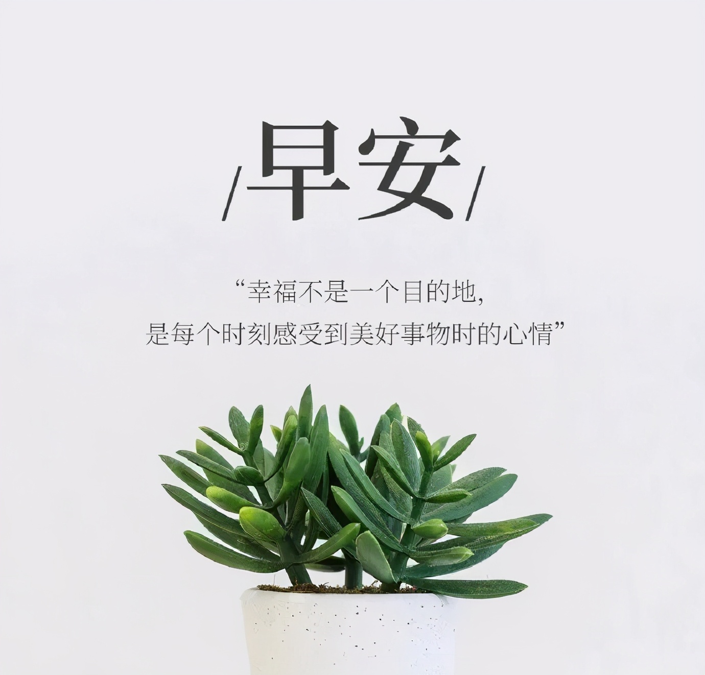 周一发朋友圈的早安正能量图片语录阳光暖心问候