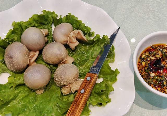 冬游杜尔伯特，一场冰火两重天的狂欢