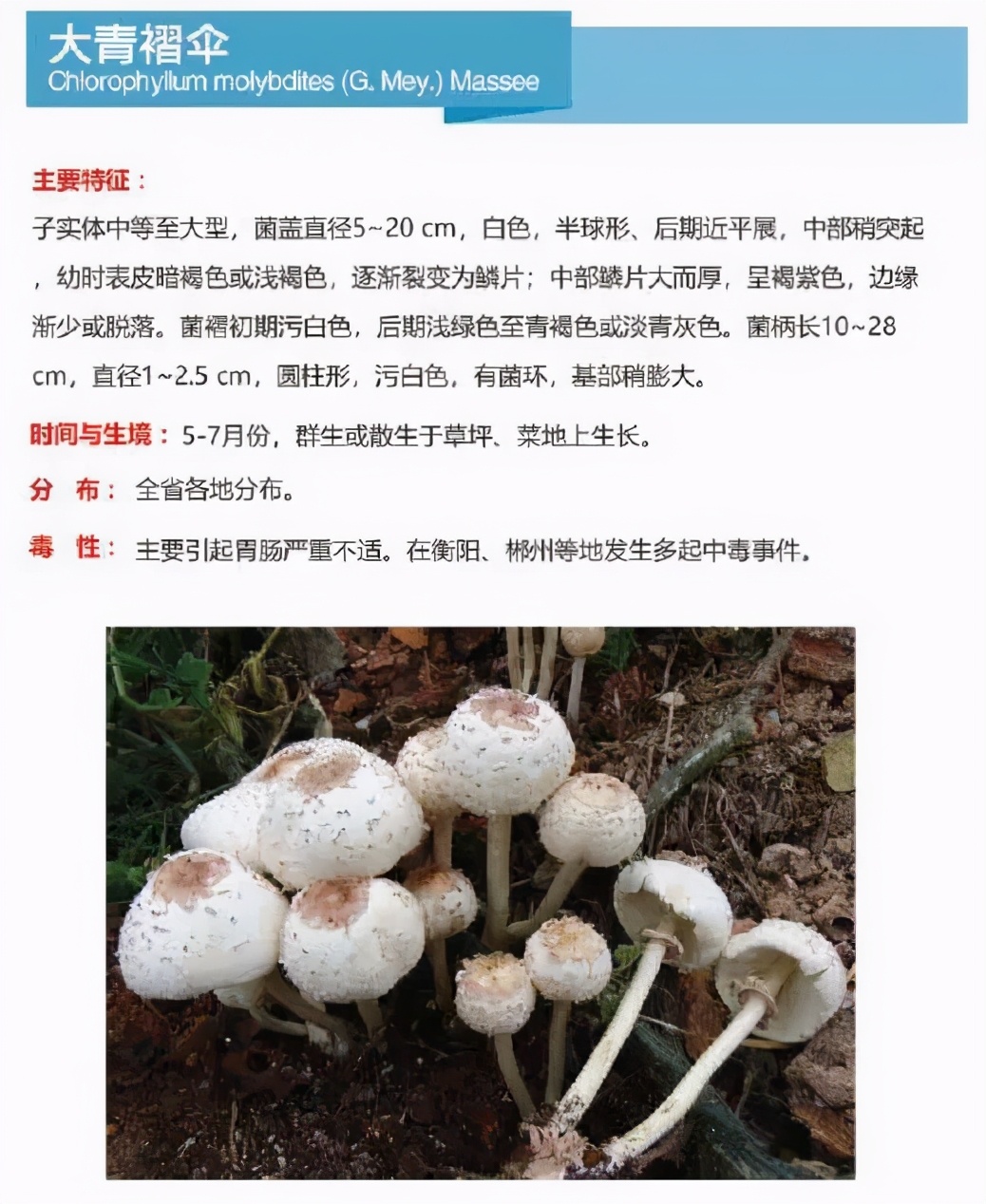 又到暴发季！湘潭人警惕，这东西碰不得（附有奖答题）