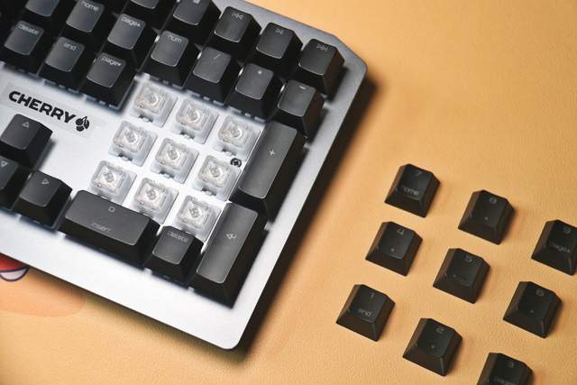 VIOLA轴用来执行家法？CHERRY MV 3.0首次试用