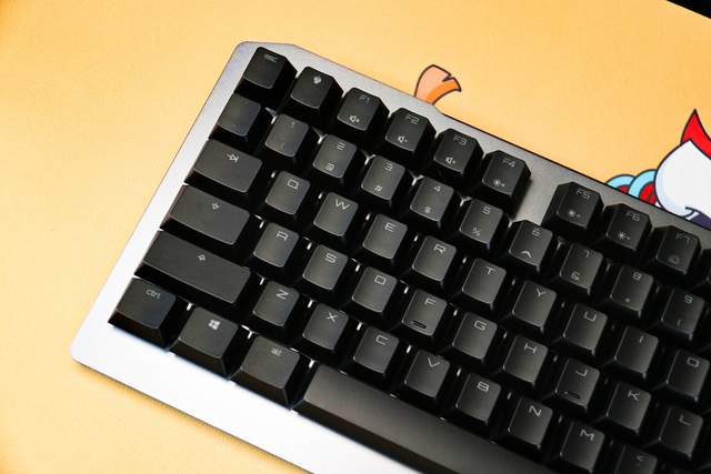 VIOLA轴用来执行家法？CHERRY MV 3.0首次试用