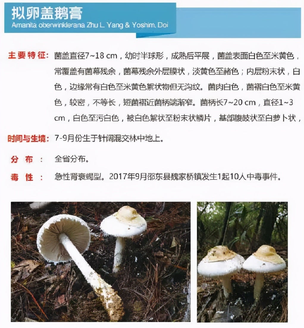 又到暴发季！湘潭人警惕，这东西碰不得（附有奖答题）