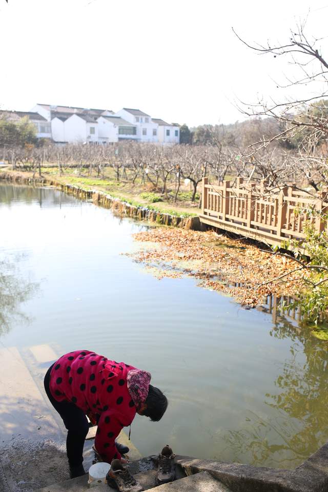 一群蒙古人雇佣兵，南下定居，成为苏南地区唯一的少数民族村落